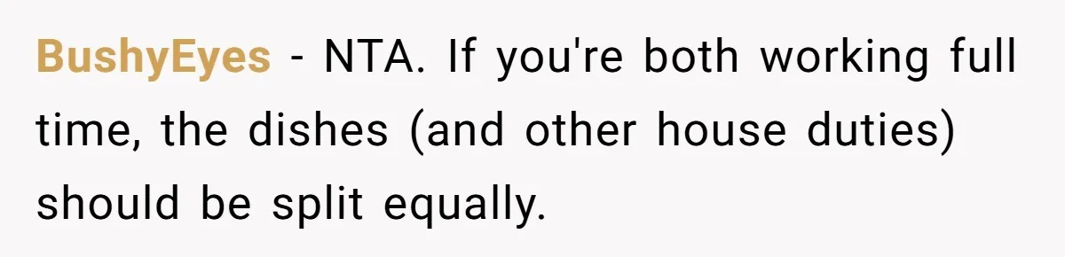 BushyEyes − NTA. If you're both working full time, the dishes (and other house duties) should be split equally.