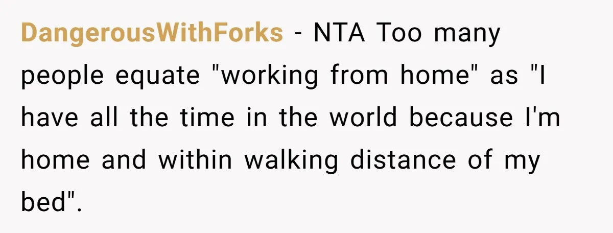 DangerousWithForks − NTA Too many people equate "working from home" as "I have all the time in the world because I'm home and within walking distance of my bed".