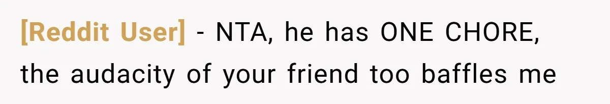 [Reddit User] − NTA, he has ONE CHORE, the audacity of your friend too baffles me