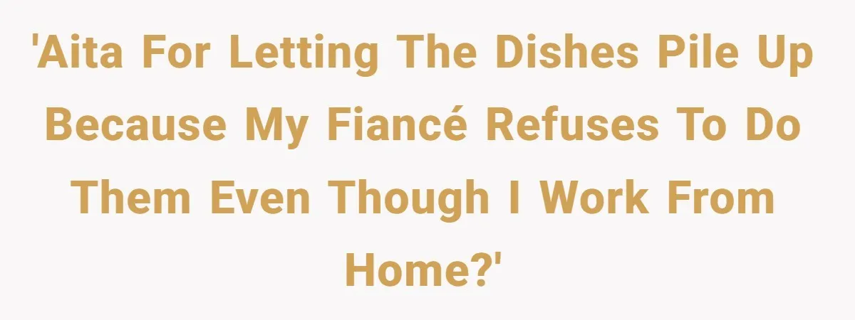 'AITA for letting the dishes pile up because my fiancé refuses to do them even though I work from home?'