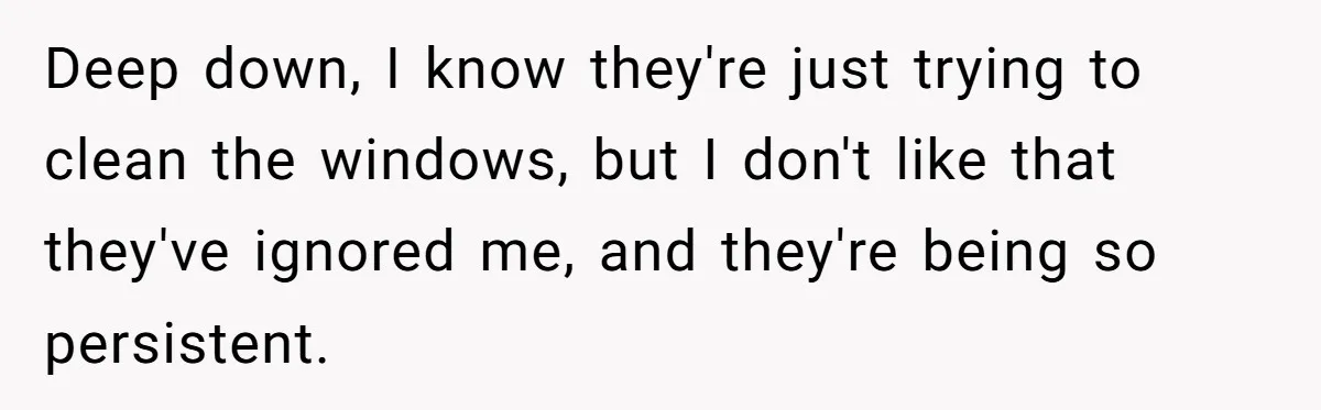 Deep down, I know they're just trying to clean the windows, but I don't like that they've ignored me, and they're being so persistent.