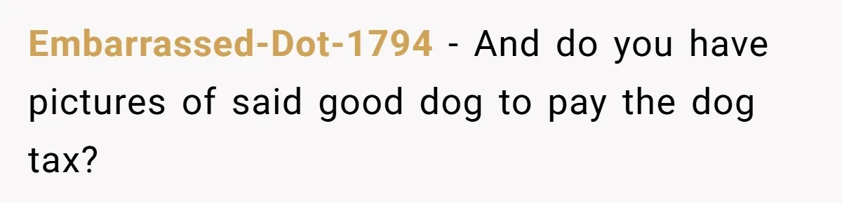 Embarrassed-Dot-1794 − And do you have pictures of said good dog to pay the dog tax?