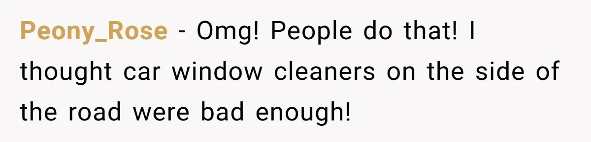 Peony_Rose − Omg! People do that! I thought car window cleaners on the side of the road were bad enough!