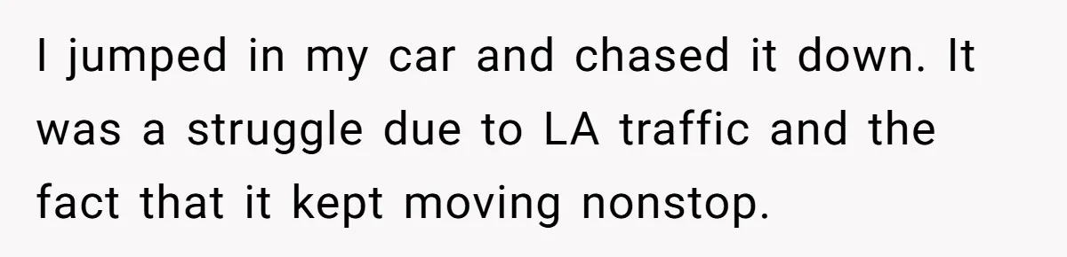 I jumped in my car and chased it down. It was a struggle due to LA traffic and the fact that it kept moving nonstop.