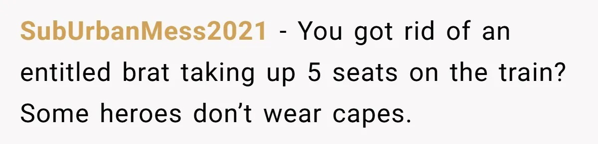 SubUrbanMess2021 − You got rid of an entitled brat taking up 5 seats on the train? Some heroes don’t wear capes.