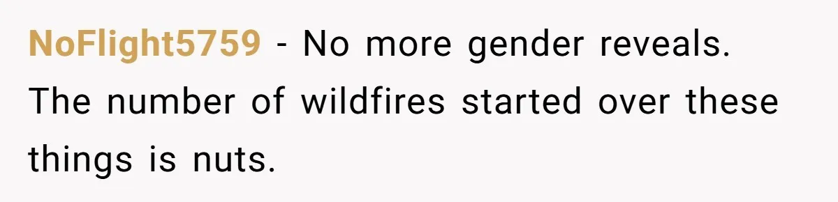 NoFlight5759 − No more gender reveals. The number of wildfires started over these things is nuts.
