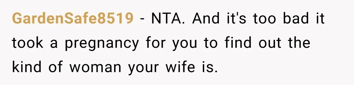 GardenSafe8519 − NTA. And it's too bad it took a pregnancy for you to find out the kind of woman your wife is.