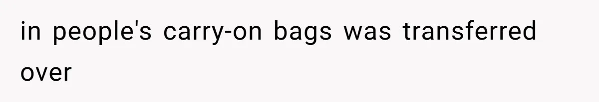 Airport Guard Tries To “Confiscate” Woman’s Empty Bottle For Himself, She Outsmarts Him And Leaves Him Fuming in people's carry-on bags was transferred over