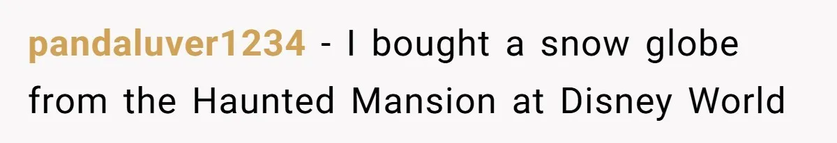 Airport Guard Tries To “Confiscate” Woman’s Empty Bottle For Himself, She Outsmarts Him And Leaves Him Fuming pandaluver1234 − I bought a snow globe from the Haunted Mansion at Disney World