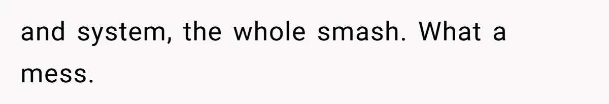 and system, the whole smash. What a mess.