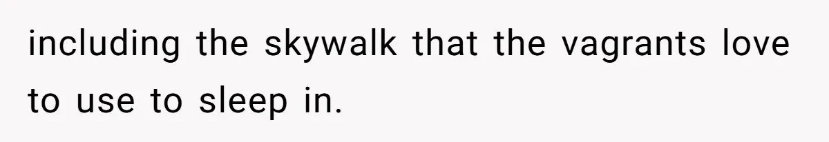 including the skywalk that the vagrants love to use to sleep in.