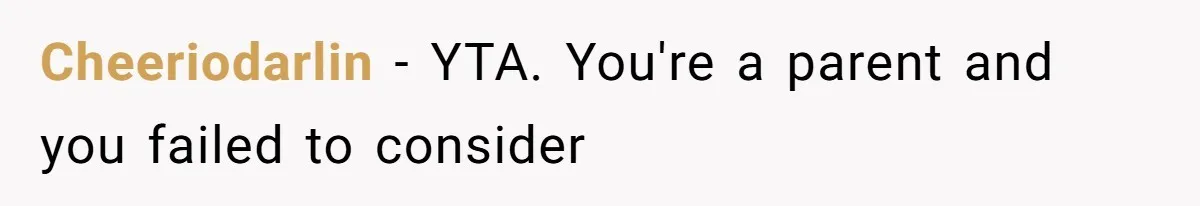 Cheeriodarlin − YTA. You're a parent and you failed to consider