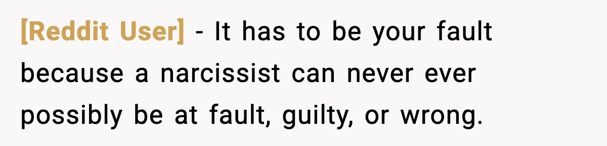 [Reddit User] − It has to be your fault because a narcissist can never ever possibly be at fault, guilty, or wrong.