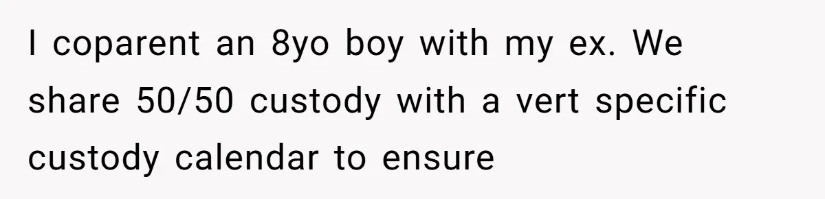 I coparent an 8yo boy with my ex. We share 50/50 custody with a vert specific custody calendar to ensure