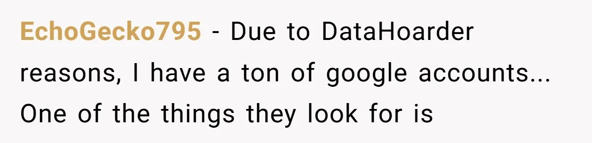 EchoGecko795 − Due to DataHoarder reasons, I have a ton of google accounts... One of the things they look for is