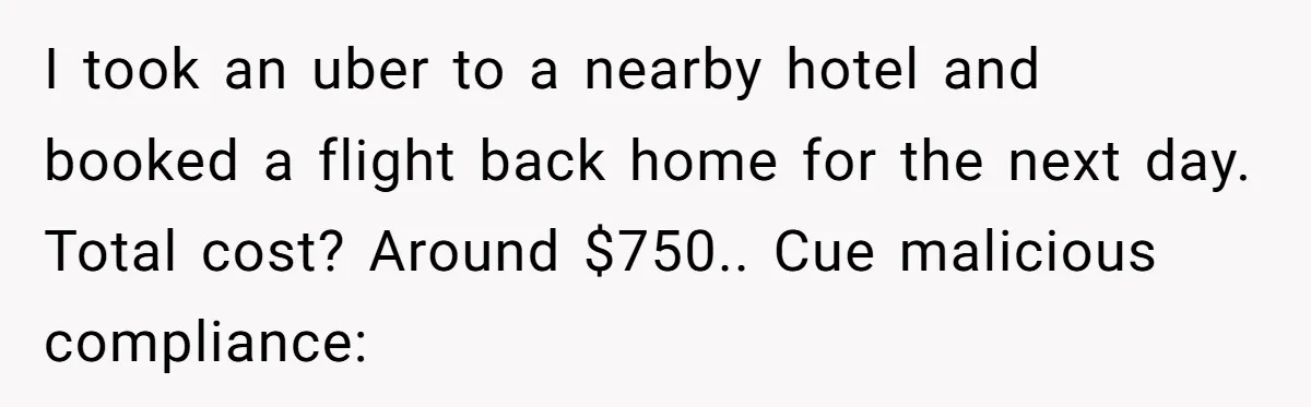 I took an uber to a nearby hotel and booked a flight back home for the next day. Total cost? Around $750.. Cue malicious compliance: