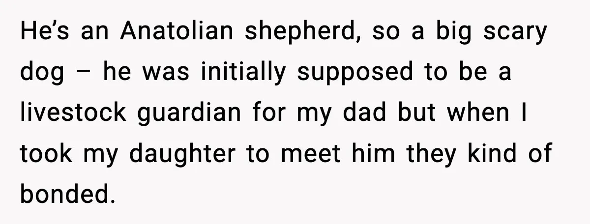 He’s an Anatolian shepherd, so a big scary dog – he was initially supposed to be a livestock guardian for my dad but when I took my daughter to meet...