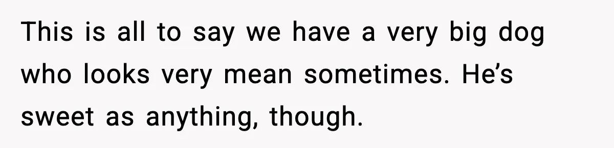 This is all to say we have a very big dog who looks very mean sometimes. He’s sweet as anything, though.