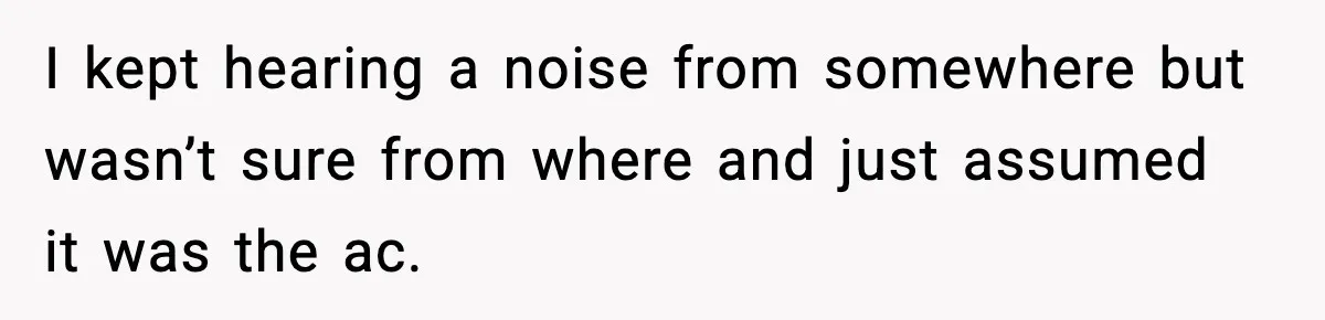 I kept hearing a noise from somewhere but wasn’t sure from where and just assumed it was the ac.
