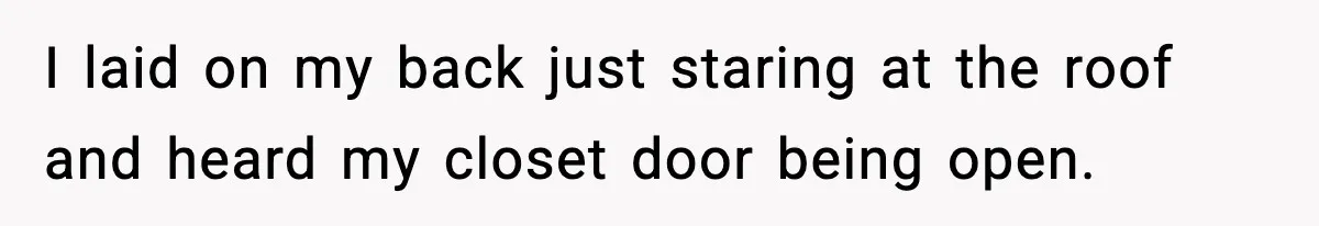 I laid on my back just staring at the roof and heard my closet door being open.