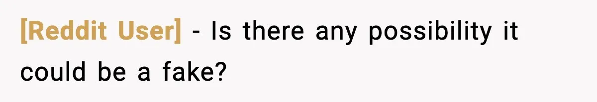 [Reddit User] - Is there any possibility it could be a fake?