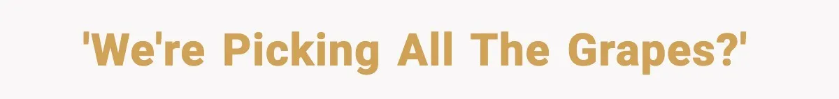 'We're picking ALL the grapes?'