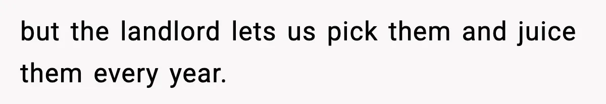 but the landlord lets us pick them and juice them every year.