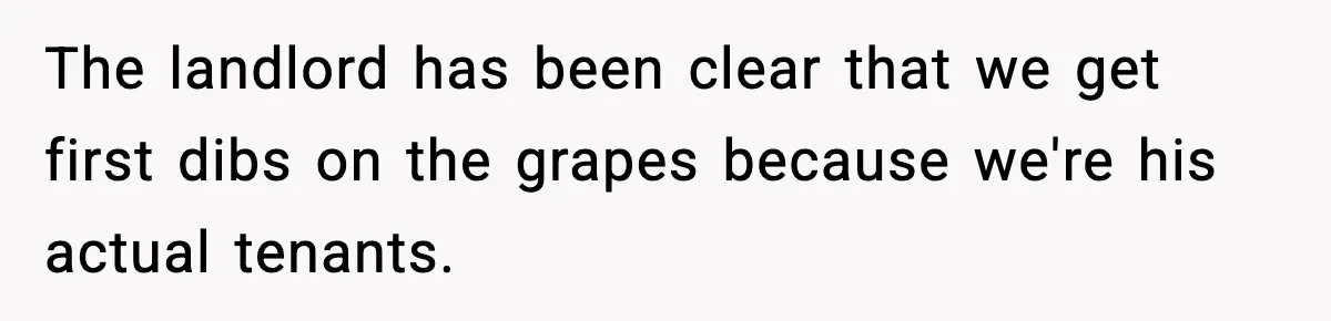 The landlord has been clear that we get first dibs on the grapes because we're his actual tenants.
