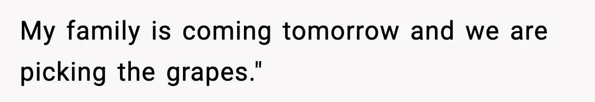 My family is coming tomorrow and we are picking the grapes."
