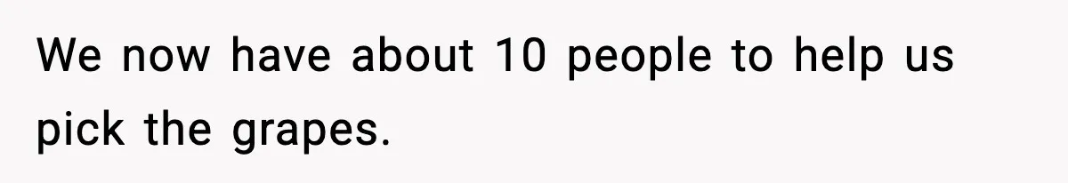 We now have about 10 people to help us pick the grapes.