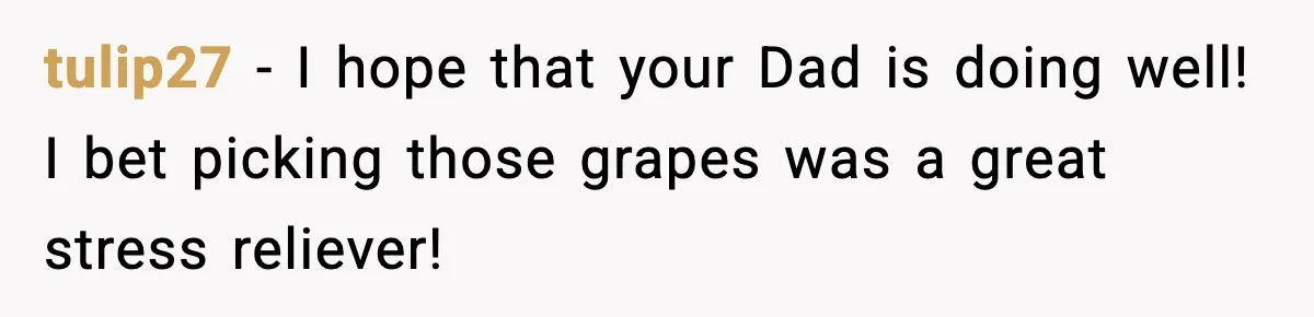 tulip27 − I hope that your Dad is doing well! I bet picking those grapes was a great stress reliever!