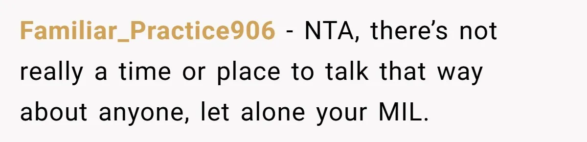 Familiar_Practice906 − NTA, there’s not really a time or place to talk that way about anyone, let alone your MIL.