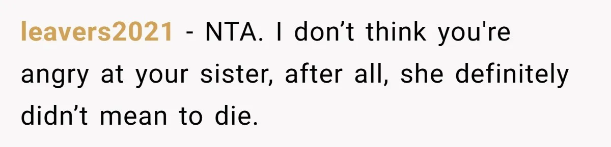 leavers2021 − NTA. I don’t think you're angry at your sister, after all, she definitely didn’t mean to die.