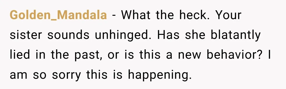 Golden_Mandala − What the heck. Your sister sounds unhinged. Has she blatantly lied in the past, or is this a new behavior? I am so sorry this is happening.