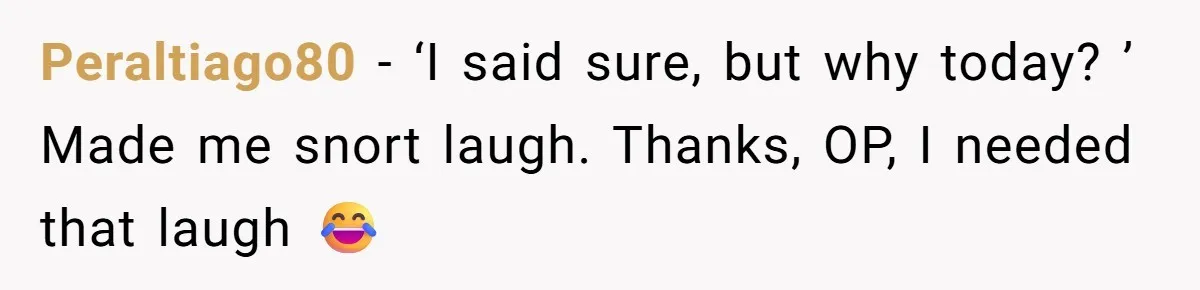 Peraltiago80 − ‘I said sure, but why today? ’ Made me snort laugh. Thanks, OP, I needed that laugh 😂