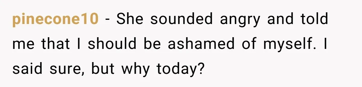 pinecone10 − She sounded angry and told me that I should be ashamed of myself. I said sure, but why today?