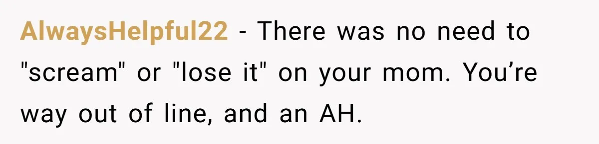 AlwaysHelpful22 − There was no need to "scream" or "lose it" on your mom. You’re way out of line, and an AH.