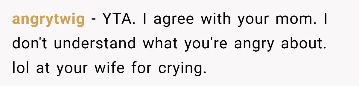 angrytwig − YTA. I agree with your mom. I don't understand what you're angry about. lol at your wife for crying.