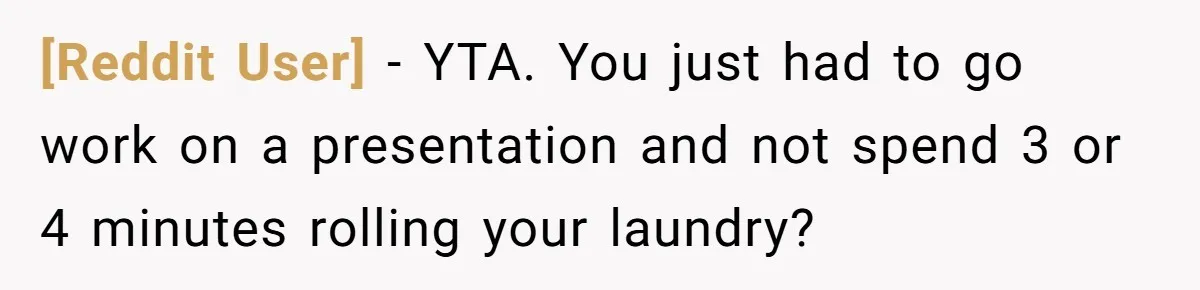 [Reddit User] − YTA. You just had to go work on a presentation and not spend 3 or 4 minutes rolling your laundry?