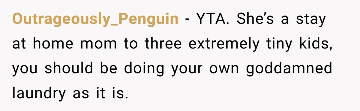 Outrageously_Penguin − YTA. She’s a stay at home mom to three extremely tiny kids, you should be doing your own goddamned laundry as it is.