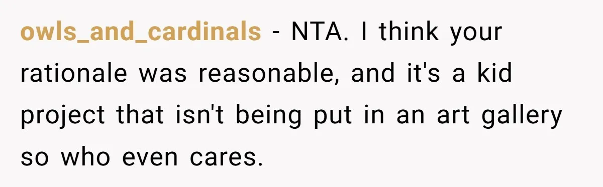owls_and_cardinals − NTA. I think your rationale was reasonable, and it's a kid project that isn't being put in an art gallery so who even cares.