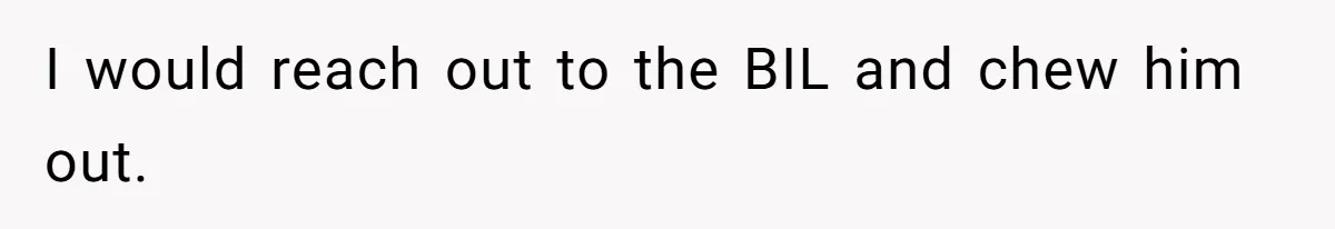 I would reach out to the BIL and chew him out.