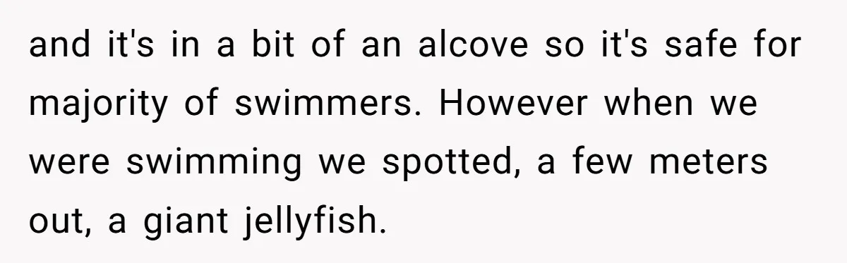 Man Warns Dad About Hazard Near His Little Kids But Gets Accused Of Destroying Their Beach Day and it's in a bit of an alcove so it's safe for majority of swimmers. However when we were swimming we spotted, a few meters out, a giant jellyfish.