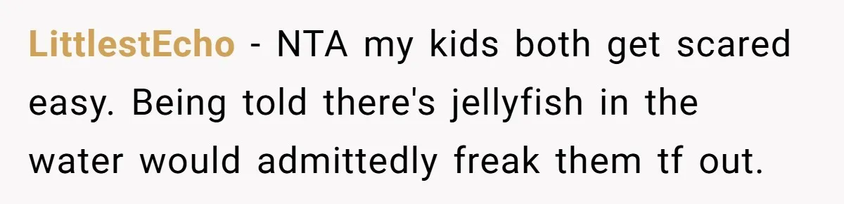 Man Warns Dad About Hazard Near His Little Kids But Gets Accused Of Destroying Their Beach Day LittlestEcho − NTA my kids both get scared easy. Being told there's jellyfish in the water would admittedly freak them tf out.