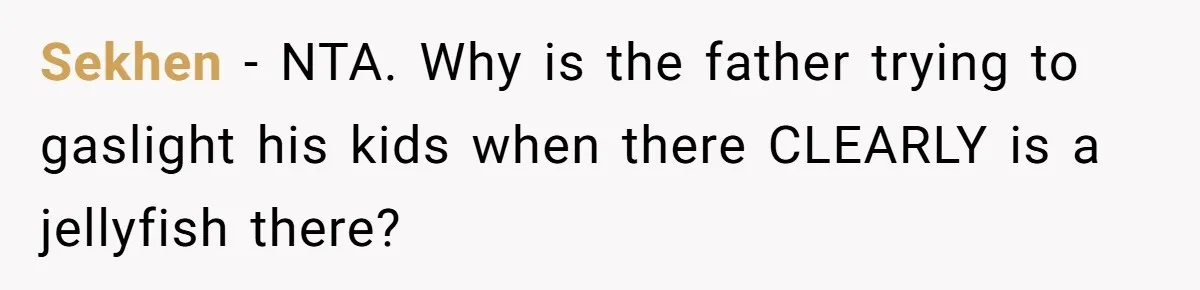 Man Warns Dad About Hazard Near His Little Kids But Gets Accused Of Destroying Their Beach Day Sekhen − NTA. Why is the father trying to gaslight his kids when there CLEARLY is a jellyfish there?