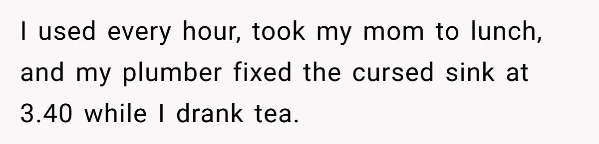 I used every hour, took my mom to lunch, and my plumber fixed the cursed sink at 3.40 while I drank tea.