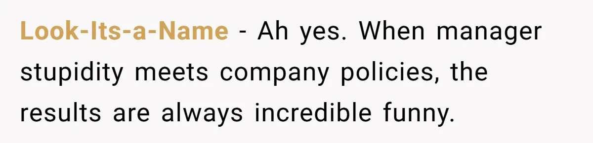 Look-Its-a-Name − Ah yes. When manager stupidity meets company policies, the results are always incredible funny.