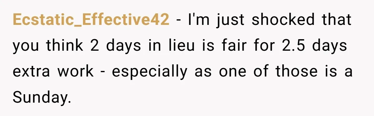 Ecstatic_Effective42 − I'm just shocked that you think 2 days in lieu is fair for 2.5 days extra work - especially as one of those is a Sunday.