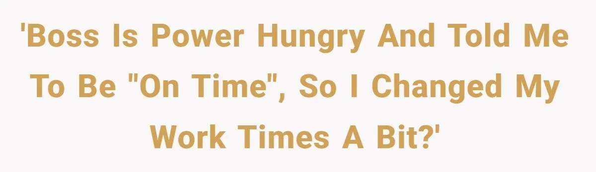 Boss Told Employee To Be On Time, So He Adjusted His Schedule To The Minute And Now His Boss Is Regretting It 'Boss is power hungry and told me to be "on time", so I changed my work times a bit?'