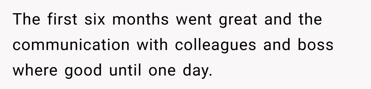 Boss Told Employee To Be On Time, So He Adjusted His Schedule To The Minute And Now His Boss Is Regretting It The first six months went great and the communication with colleagues and boss where good until one day.